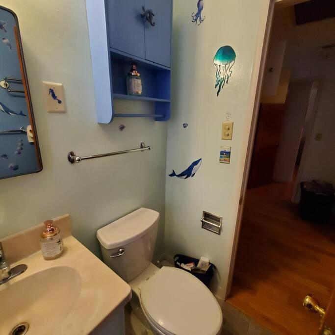 Sweet 2 Bedroom Close To U Of Oregon & Track! Юджийн Екстериор снимка